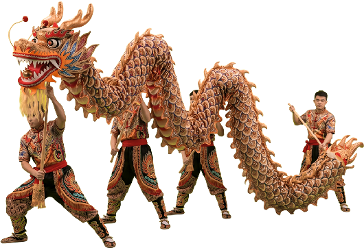 dragon dance costume